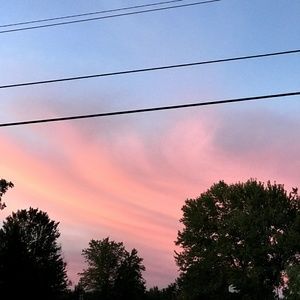 Meet your Posher, Cesar